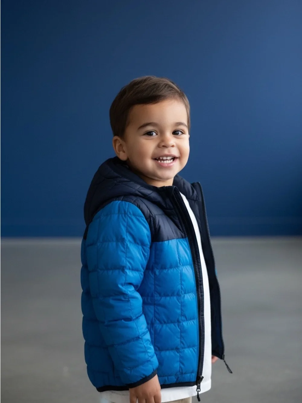The North Face description brand